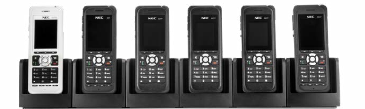 DECT Pic 2